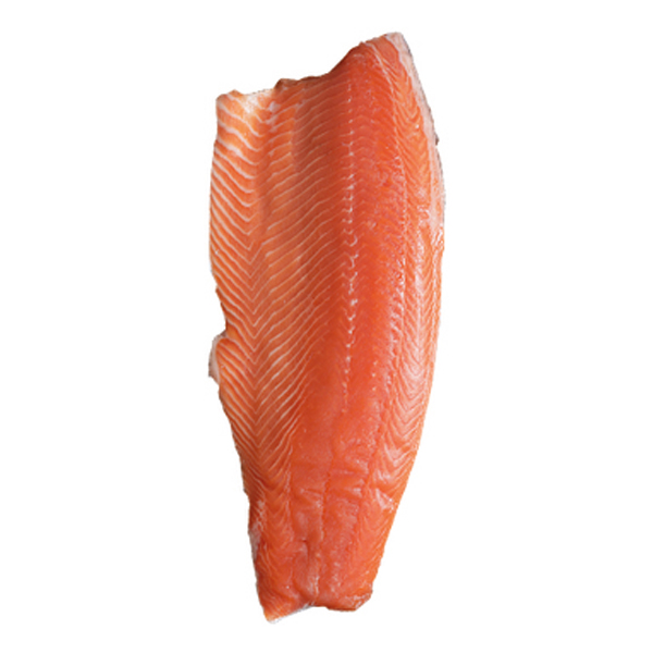 FILE SALMAO 1000/1500 COHO PREM KOMDELLI