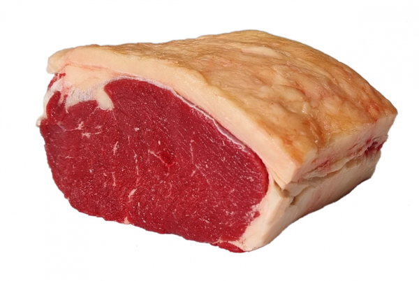 CONTRA FILE RESF. RAMAX