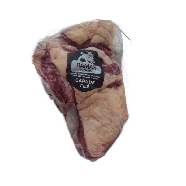 CAPA DE FILE RESF RAMAX