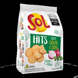 BISC SALG CHIPS CEBOLA/SALSA SOL 24X60G