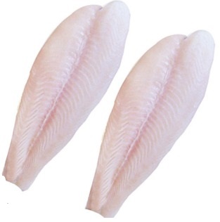 FILE PANGA PREMIUM JSANTOS PCT 10X1KG