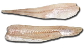 FILE MERLUZA ARG JSANTOS PCT 10X1KG