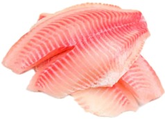 FILE TILAPIA IQF CG NINEFISH 10KG